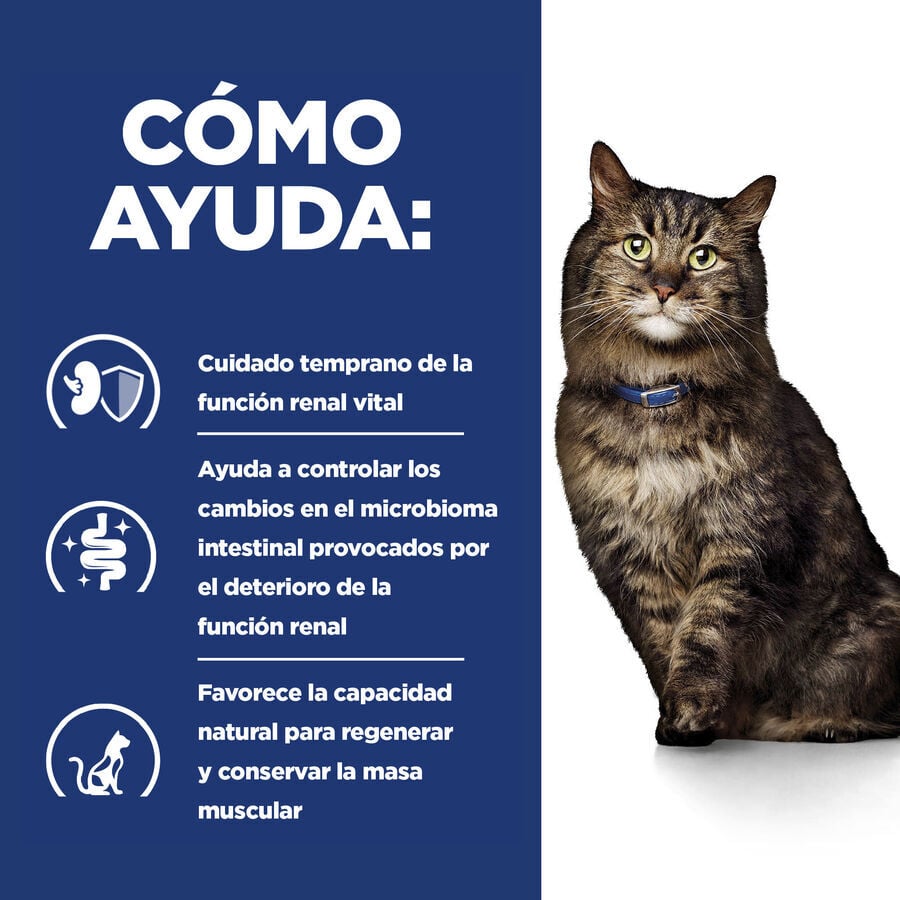 12 sobres x 85 g Hill's Prescription Diet Early Stage Kidney Care k/d Pollo sobre en salsa para gatos, , large Imagen numero 3